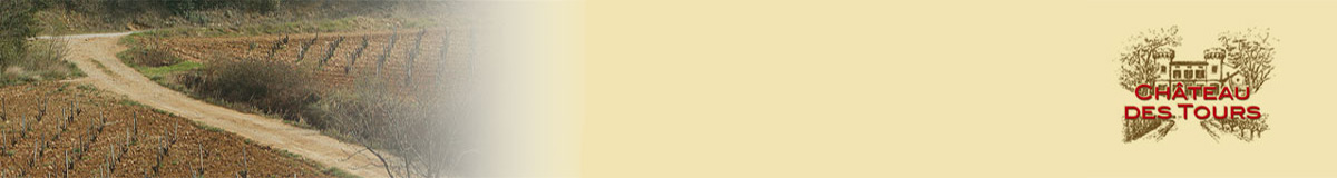 Domaine des Tours